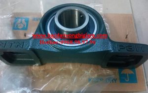 GỐI ĐỠ NTN-UCP311