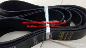 DÂY CUROA-440J-440PJ