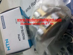 VÒNG BI LỆCH TÂM-BẠC ĐẠN GIẢM TỐC-RN307-43-11-19-23-59-87-NHẬT - HOTLINE: 0968.98.97.96