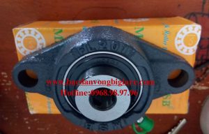 VÒNG BI FL201-BẠC ĐẠN FL201-UCFL201 - MSB