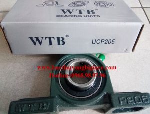 BẠC ĐẠN UCP205 - VÒNG BI UCP205 - P205