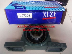 VÒNG BI XLZY - BẠC ĐẠN XLZY