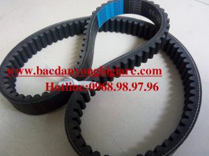 DÂY CUROA - 1120VB2530 - BANDO