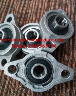 VÒNG BI - BẠC ĐẠN - FL000