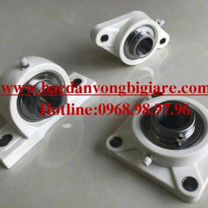 GỐI ĐỠ - VÒNG BI - BẠC ĐẠN - VỎ NHỰA RUỘT INOX