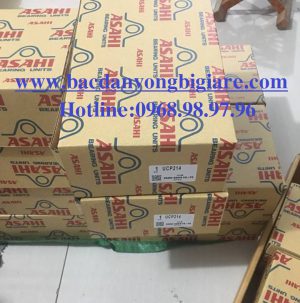 VÒNG BI - BẠC ĐẠN - ASAHI