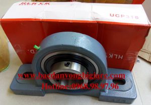 VÒNG BI - BẠC ĐẠN - UCP316