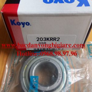 VÒNG BI - BẠC ĐẠN - 203KRR2 - KOYO