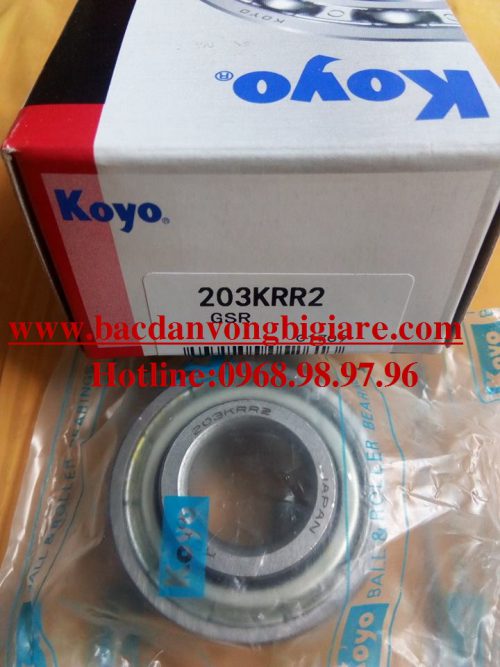 VÒNG BI - BẠC ĐẠN - 203KRR2 - KOYO