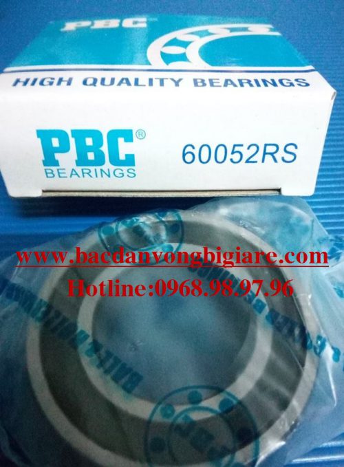 VÒNG BI - BẠC ĐẠN - 6005 - PBC