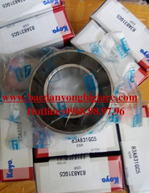 VÒNG BI - BẠC ĐẠN XE