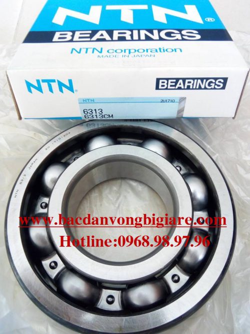 VÒNG BI - BẠC ĐẠN - 6313 NTN