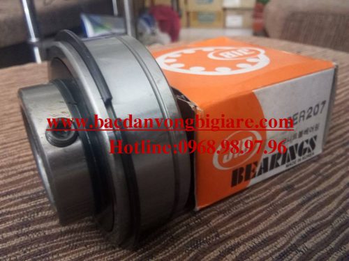VÒNG BI - BẠC ĐẠN - SER207