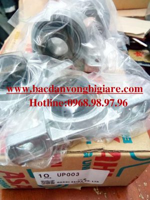 VÒNG BI - BẠC ĐẠN - UP003 ASAHI