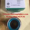 VÒNG BI - BẠC ĐẠN - F223679 INA