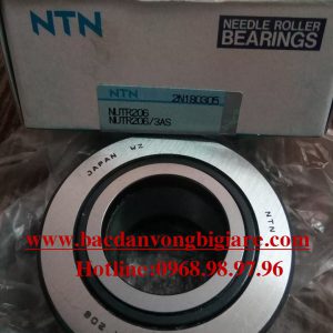 VÒNG BI - BẠC ĐẠN - NUTR206 NTN