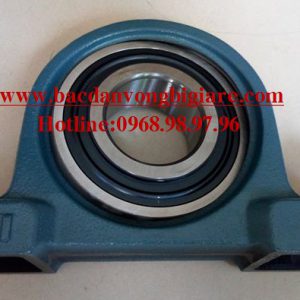 VÒNG BI UCP313 - ASAHI