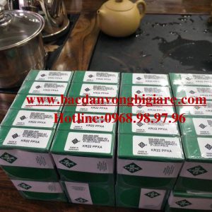 VÒNG BI - BẠC ĐẠN - KR22 PPXA INA