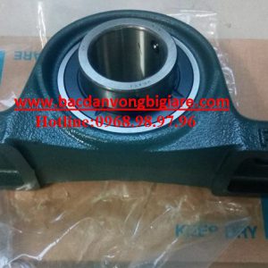 VÒNG BI UCP311 - ASAHI