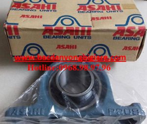 GỐI ĐỠ UCP209
