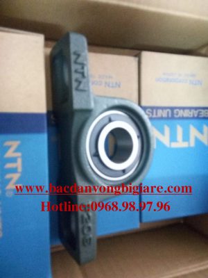 GỐI ĐỠ UCP205-P205 - NTN