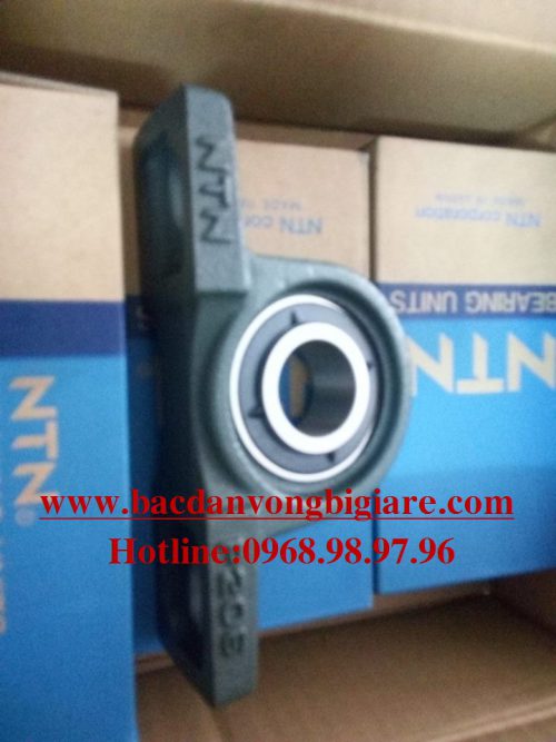GỐI ĐỠ UCP205-P205 - NTN