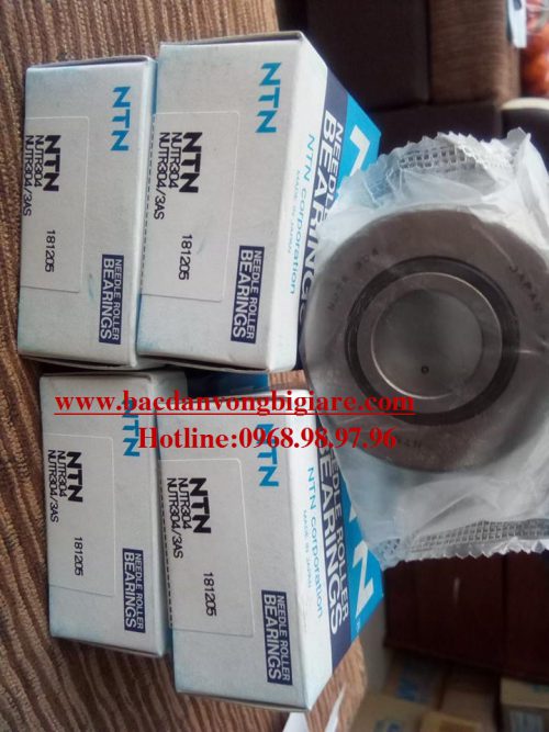 VÒNG BI - BẠC ĐẠN - NUTR304 NTN