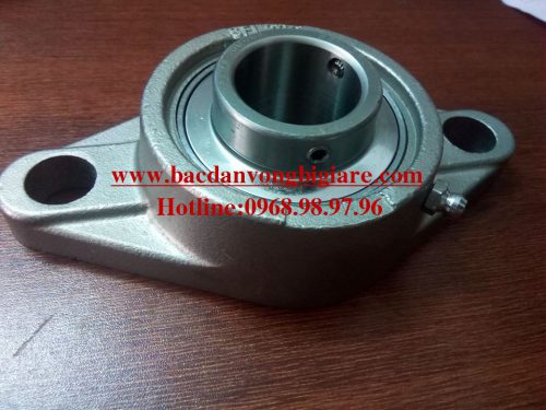 GỐI ĐỠ VÒNG BI BẠC ĐẠN INOX