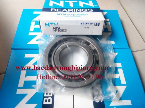 VÒNG BI - BẠC ĐẠN NF309C3 NTN