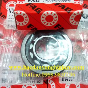 VÒNG BI - BẠC ĐẠN NU203E.TVP2 FAG
