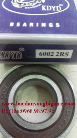 VÒNG BI - BẠC ĐẠN 6004