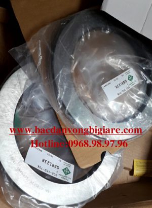 BẠC ĐẠN GS81238 INA