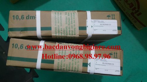 VÒNG BI - BẠC ĐẠN SL182948.C3 INA