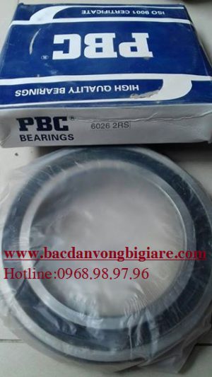 VÒNG BI - BẠC ĐẠN 6019