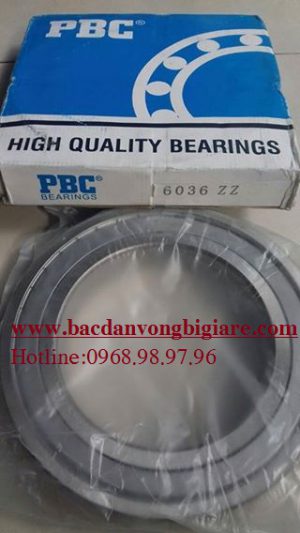 VÒNG BI - BẠC ĐẠN 6029