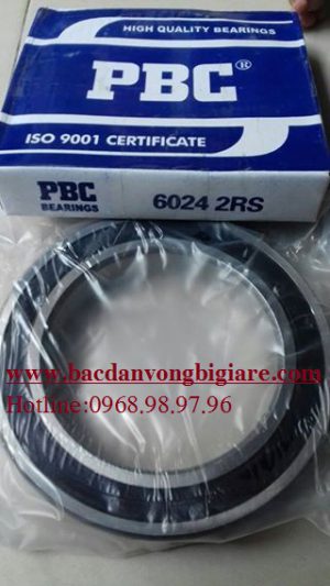 VÒNG BI - BẠC ĐẠN 6040