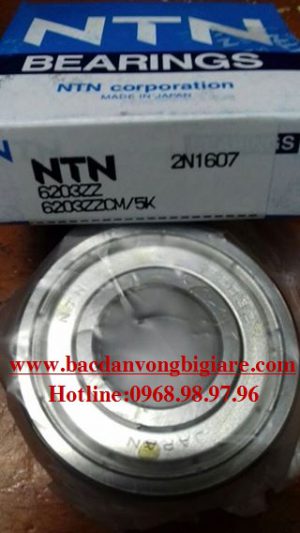 VÒNG BI - BẠC ĐẠN 6202