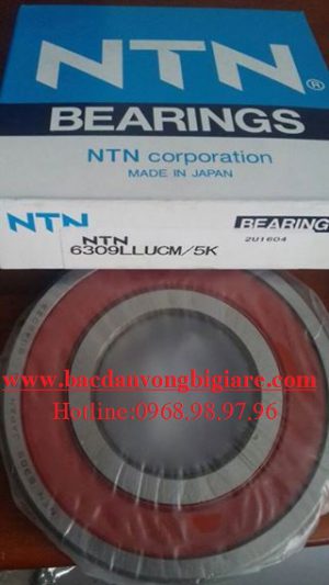 BẠC ĐẠN 6325 - VÒNG BI 6325 - NTN