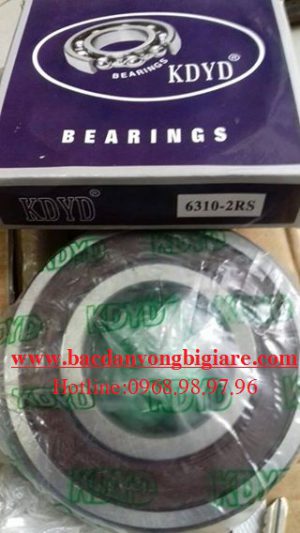 BẠC ĐẠN 6338 - VÒNG BI 6338