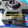 GỐI ĐỠ - VÒNG BI BẠC ĐẠN T205