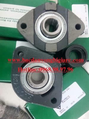 BẠC ĐẠN - GRAE15 NPP B