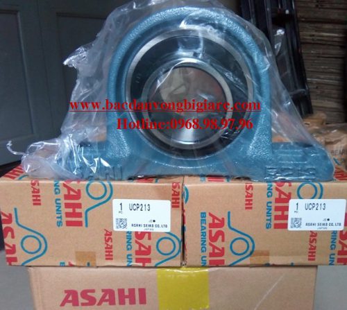 GỐI ĐỠ UCP202 - ASAHI