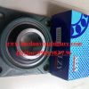 VÒNG BI - BẠC ĐẠN F312