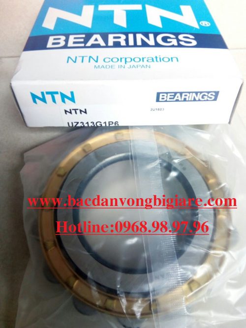 VÒNG BI - BẠC ĐẠN UZ313G1P6