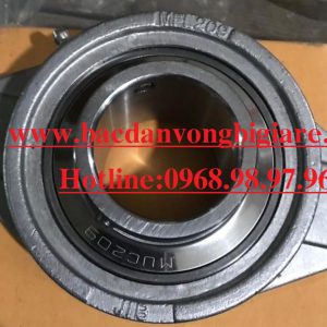 VÒNG BI MFL209-SFL209-SUCFL209