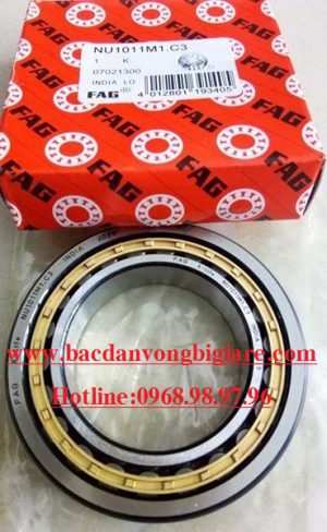 VÒNG BI NU1011M1.C3