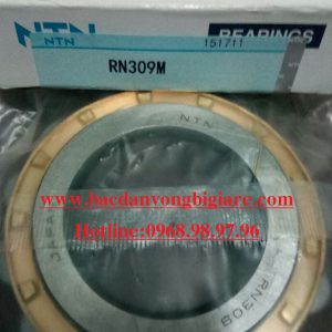 VÒNG BI RN309