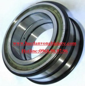 VÒNG BI SL04 5018 2NR