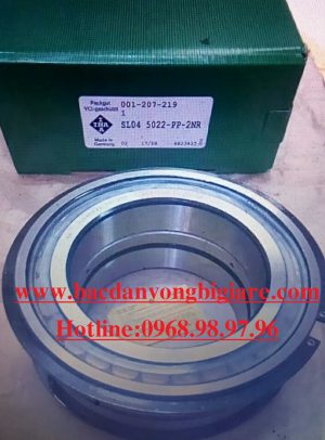 VÒNG BI SL04 5022 PP 2NR INA