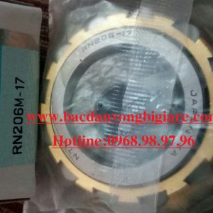 VÒNG BI LỆCH TÂM RN206-17 NTN